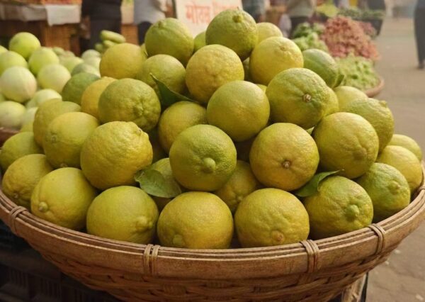 Lemon ( नींबू )