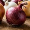 Onion ( प्याज )